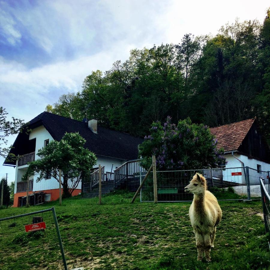 Вілла Cria Valley Alpacas Ріґерсбурґ Екстер'єр фото